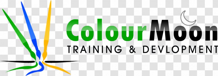 Software Courses Training Institute In Vizag | ColourMoon Shilparamam Jathara Digital Marketing Web Designing - And Development Transparent PNG