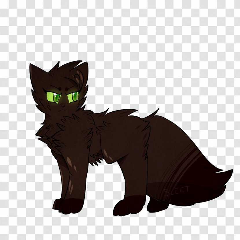 Whiskers Kitten Domestic Short-haired Cat Drawing Transparent PNG