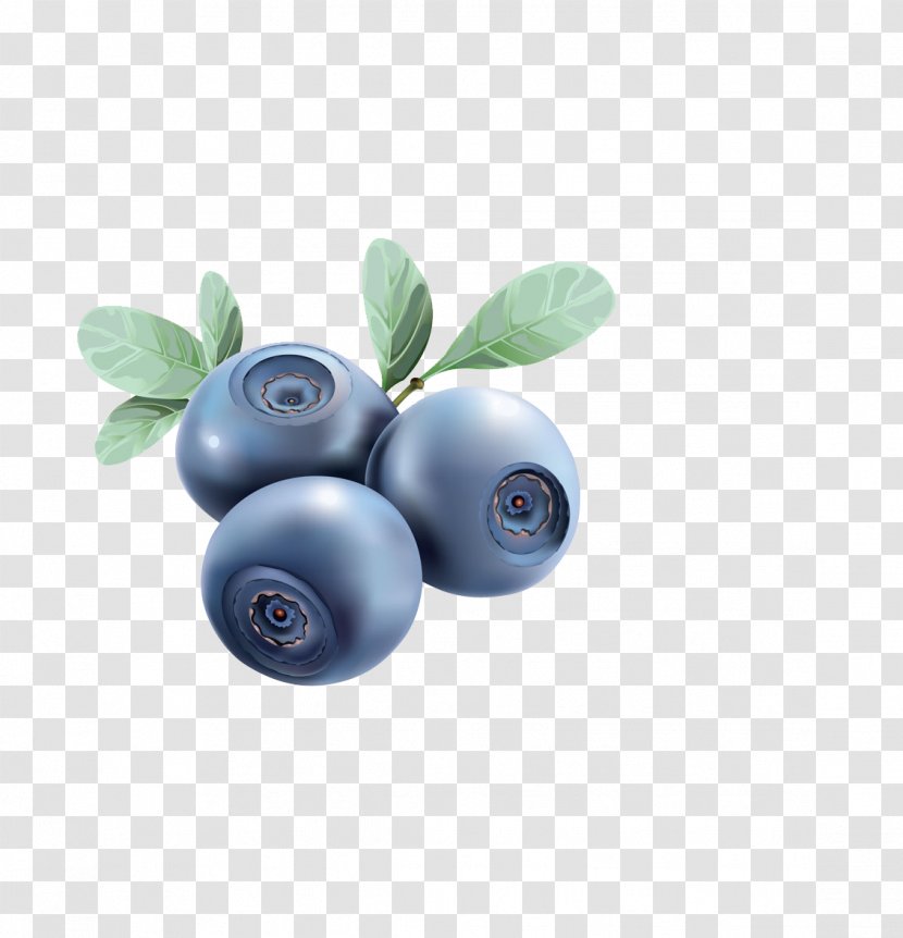 Blueberry Euclidean Vector Food Illustration - Royaltyfree - Hand Painted Graphic Design Arbutin Material Transparent PNG