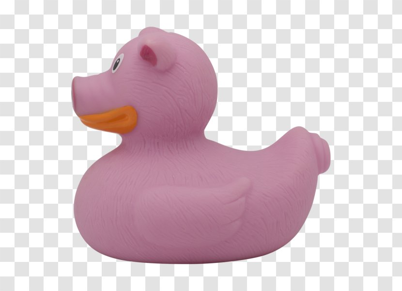 Duck Domestic Pig Sindiseca Toys Model - Pink Transparent PNG
