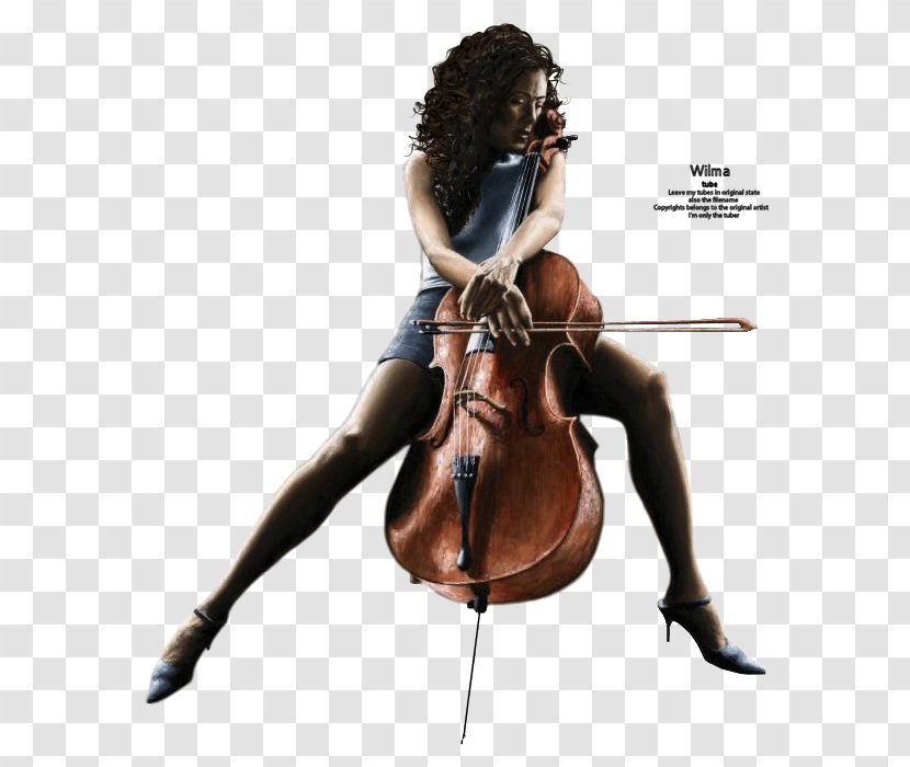 Violone Violin Cello Viola Microphone - Fiddle Transparent PNG