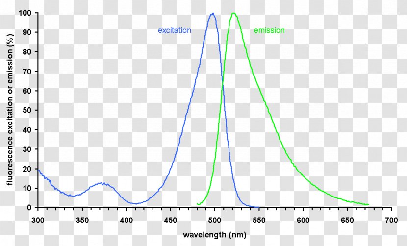 SYBR Green I Emission Spectrum Fluorescence Absorption Fluorophore Transparent PNG