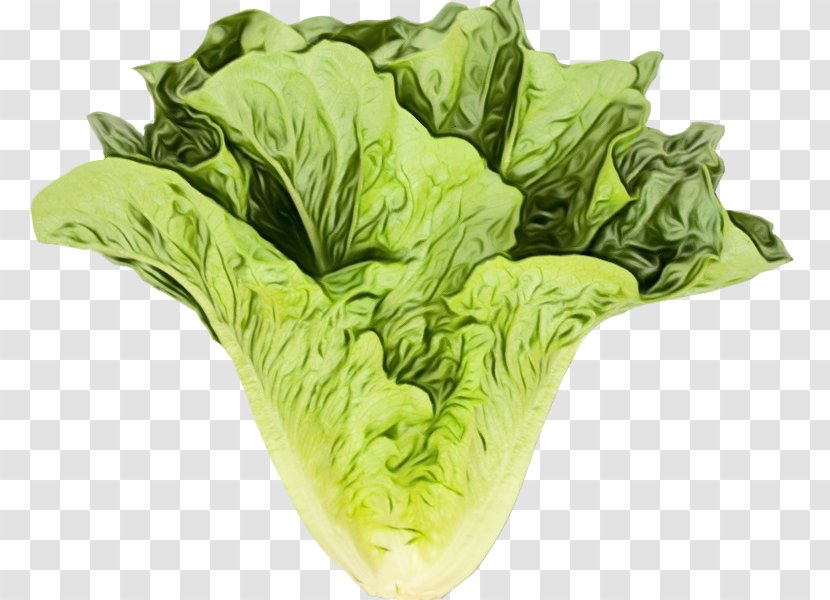 House Cartoon - Wild Cabbage - Side Dish Vegetarian Food Transparent PNG