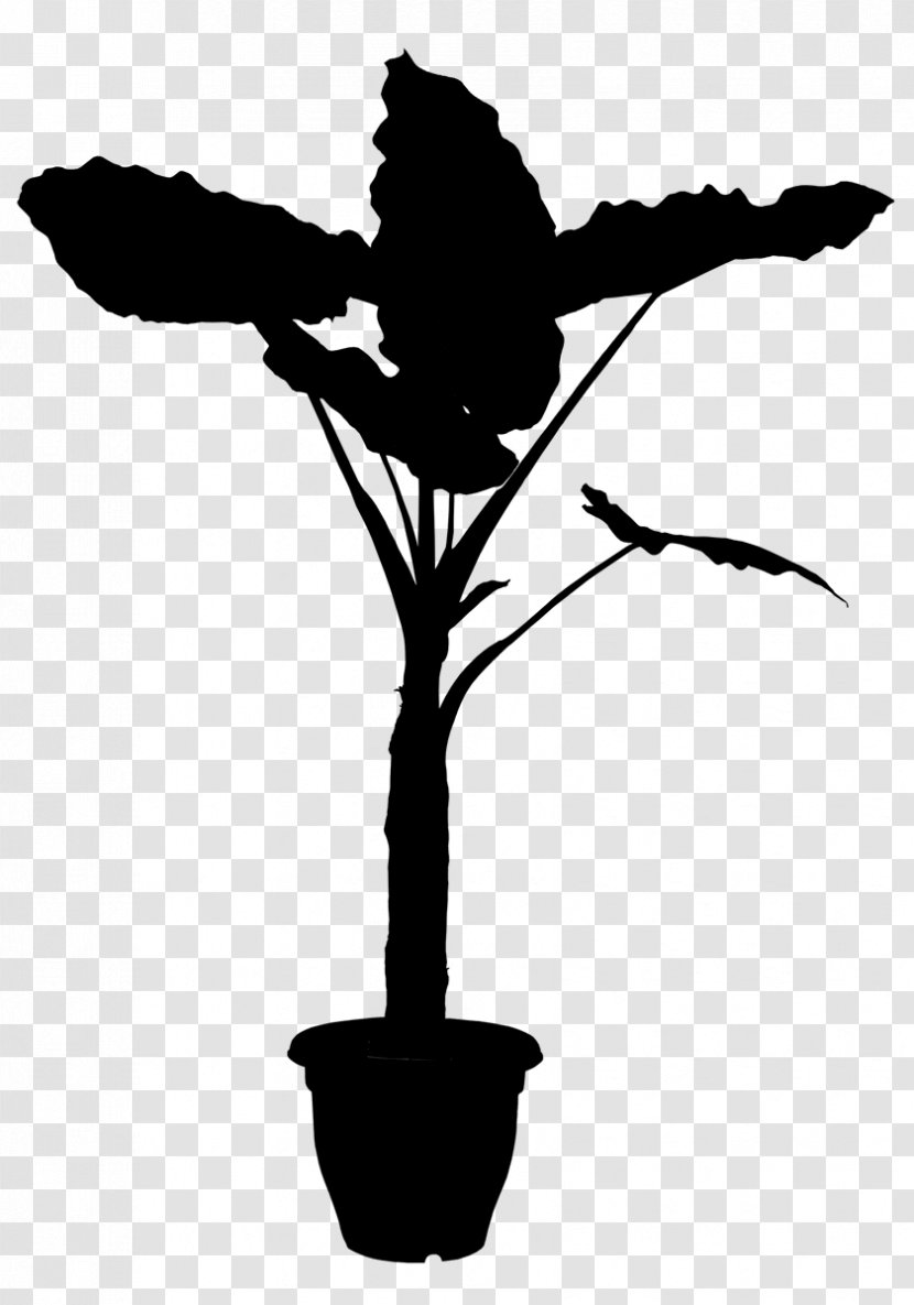 Plants Plant Stem Perennial Reproduction Vine - Blackandwhite Transparent PNG