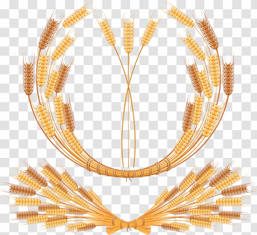 Wheat Euclidean Vector Clip Art - Royalty Free Transparent PNG