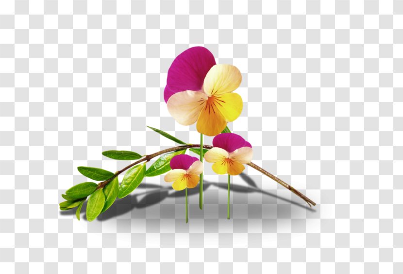 Cut Flowers Animation Floral Design - Flower Transparent PNG