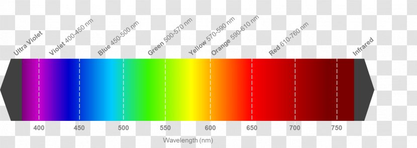 Light Visible Spectrum Wavelength Color Electromagnetic - Magenta - Warm Transparent PNG