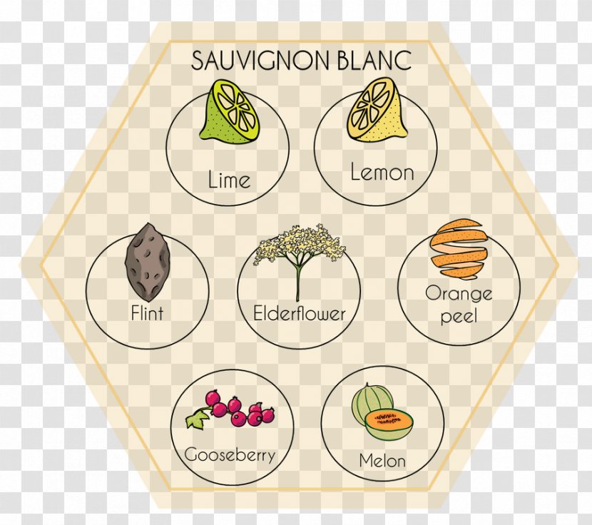 Wine Tasting Sauvignon Blanc Aroma Of Color - Descriptors - Do Homework Transparent PNG