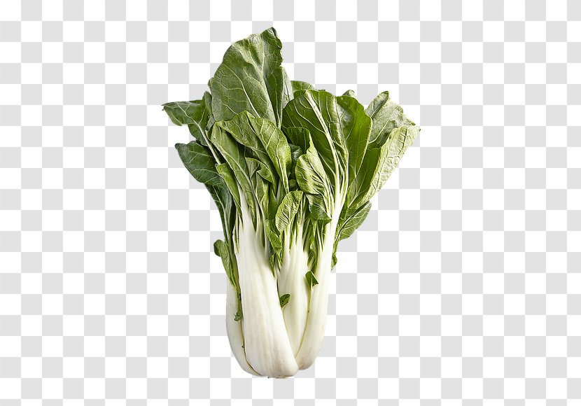 Chard Spinach Cabbage Vegetable Photography - Yu Choy Shanghai Bok Transparent PNG