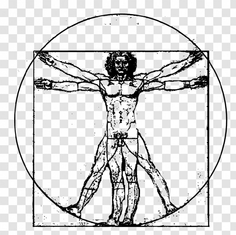 Vitruvian Man The Creation Of Adam Transparent PNG