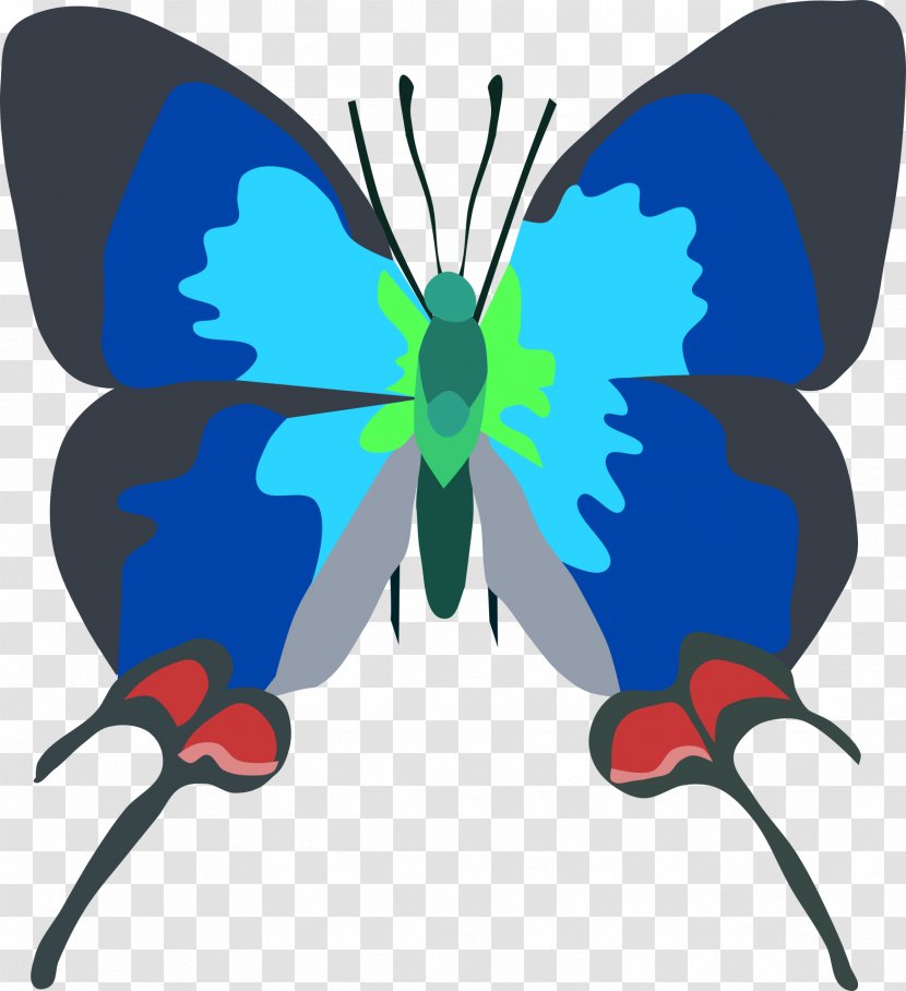 Butterfly Insect Desktop Wallpaper Evenus Coronata Transparent PNG