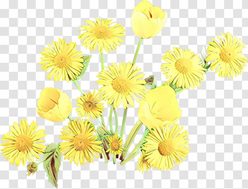 Daisy - Cartoon - Flowering Plant Gerbera Transparent PNG