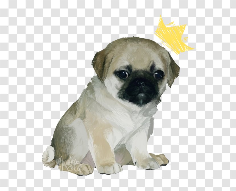 Pug Puppy Dog Breed Toy Fawn - Snout Transparent PNG