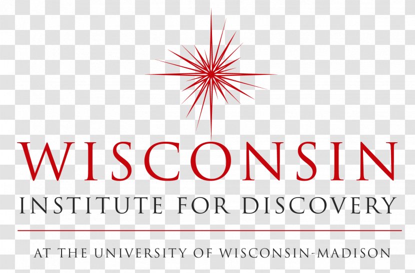 Tallahassee Community College University Of Wisconsin-Madison Siena Watsonville Endodontics: Fardad T. Tayebaty, DMD - Brand - Endodontics T Tayebaty Dmd Transparent PNG