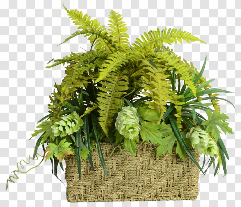 Flowerpot Tree - Vascular Plant - Greenery For Floral Arrangements Transparent PNG