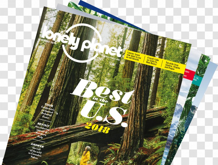 Sonoma County Regional Parks Guidebook Avenue Of The Giants Lonely Planet Travel - Logo Transparent PNG