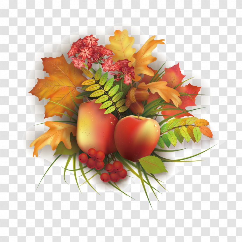 Autumn Illustration - Floristry - Vector Painted Harvest Transparent PNG