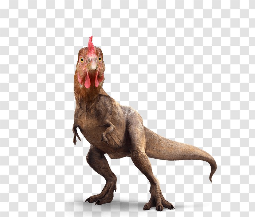 Tyrannosaurus Velociraptor Triceratops Spinosaurus Ian Malcolm - Jurassic Park Iii Transparent PNG