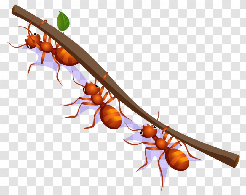 Ant Drawing - Cutlery - Cartoon Painted Red Ants Move Branches Transparent PNG