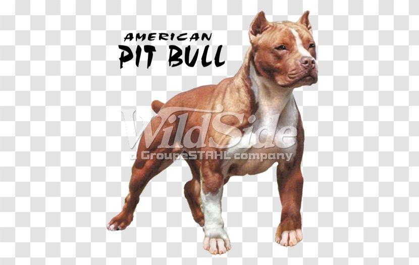 American Pit Bull Terrier T-shirt Bully Transparent PNG