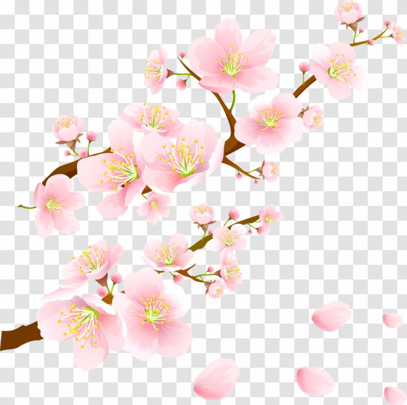 Wedding Invitation Paper Cherry Blossom Wallpaper - Pink Transparent PNG