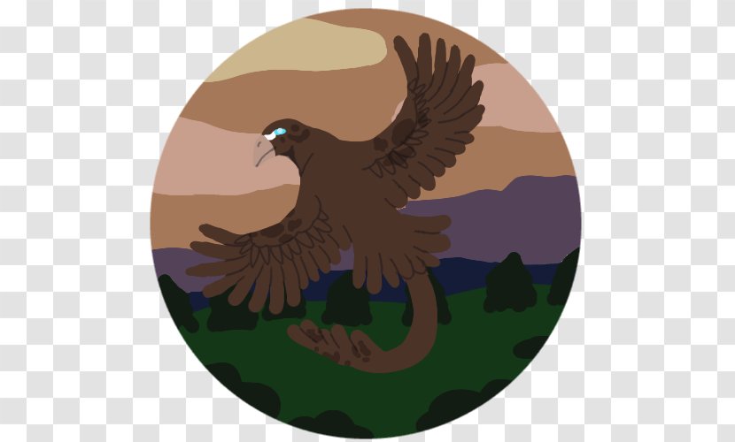 Eagle Hawk Beak Feather - Bird Transparent PNG