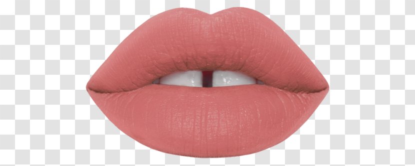 Lime Crime Velvetines Lipstick Cosmetics Lip Gloss Eye Shadow - Makeup Artist Transparent PNG