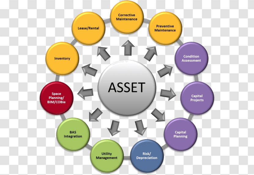 Asset Management Real Estate - Service - Text Transparent PNG