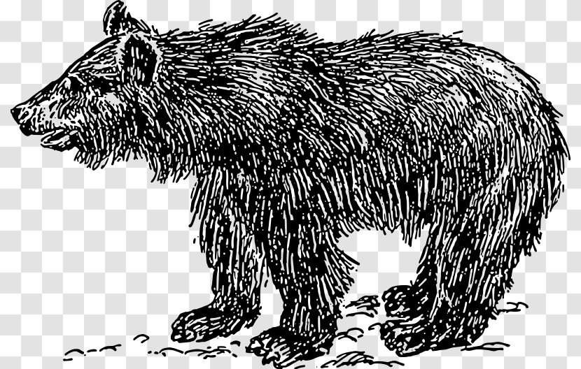 American Black Bear Polar Sloth Clip Art - Fur Transparent PNG