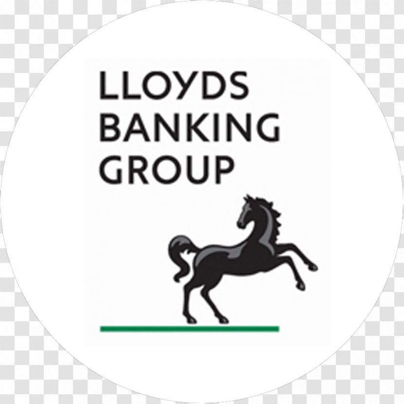Lloyds Banking Group Business Cheltenham & Gloucester Finance - Money Transparent PNG