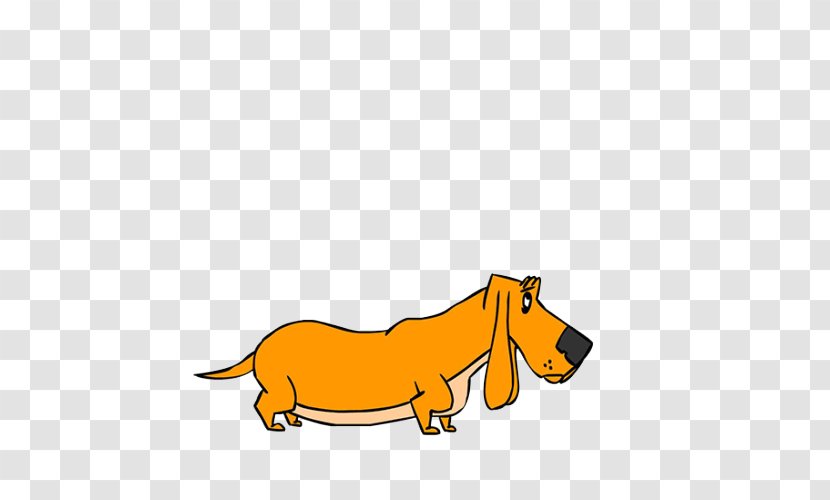 Mustang Donkey Cat Dog Mane Transparent PNG