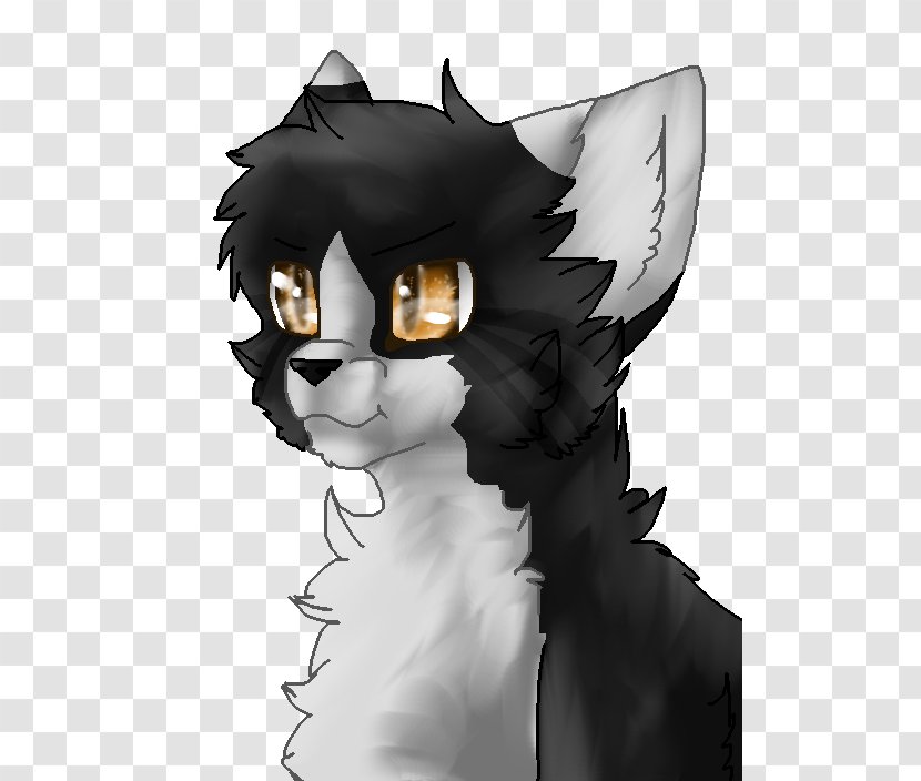 Whiskers Cat Horse Dog Canidae - Supernatural Creature - Grumpy Transparent PNG