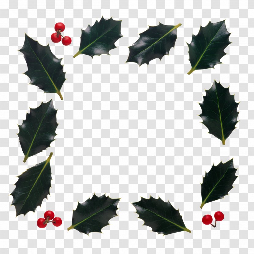 Holly Picture Frames Clip Art - Branch - Leaf Frame Transparent PNG