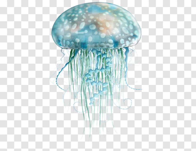 Blue Jellyfish Sea - Marine Life Transparent PNG