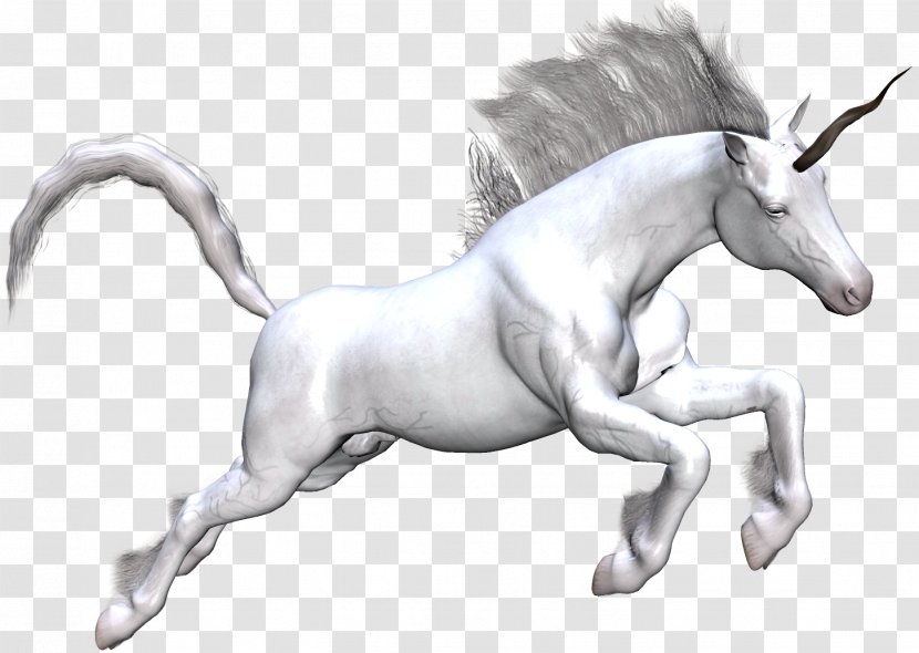 Unicorn Horse Clip Art - Wing - Unicorns Transparent PNG