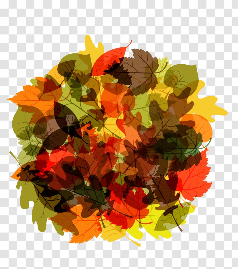 Autumn Leaf Euclidean Vector - Flower - Round Leaves Transparent PNG