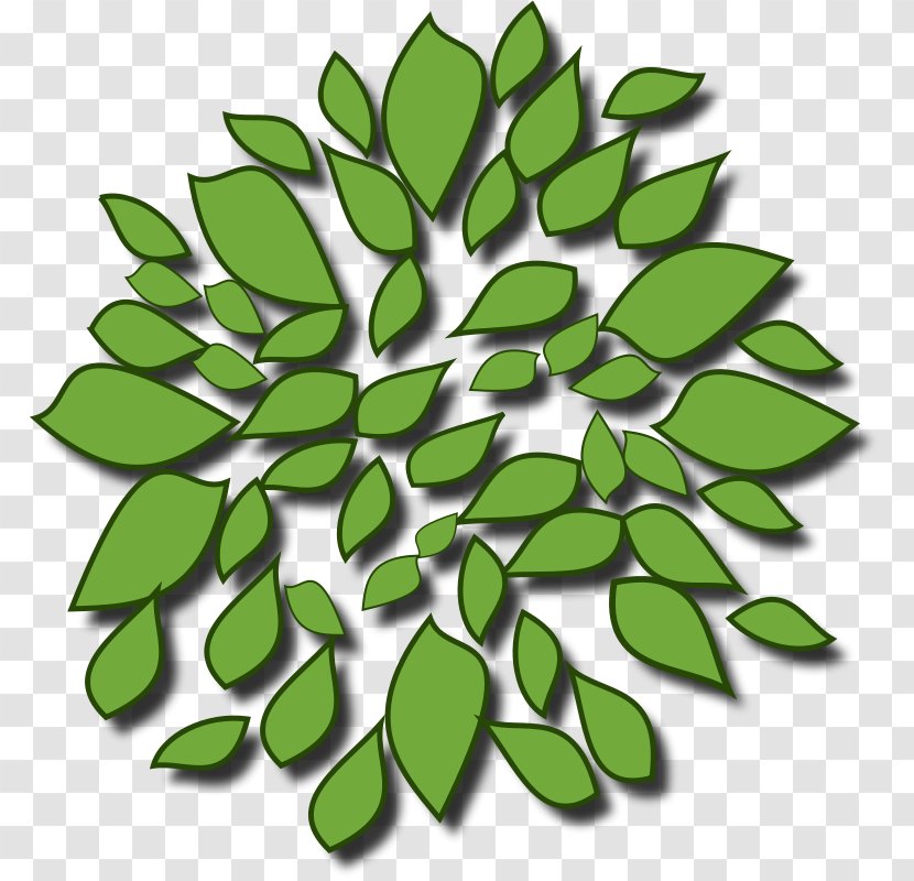 Tree Arecaceae Clip Art Transparent PNG