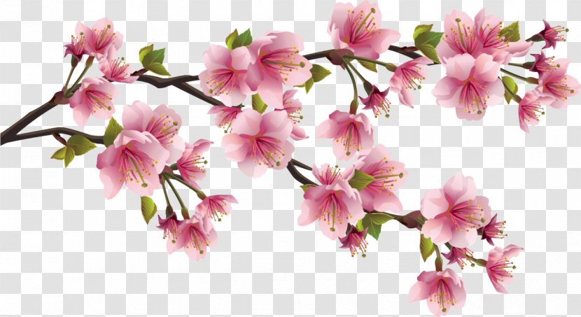 Paper Cherry Blossom Clip Art - Peach Branch Transparent PNG