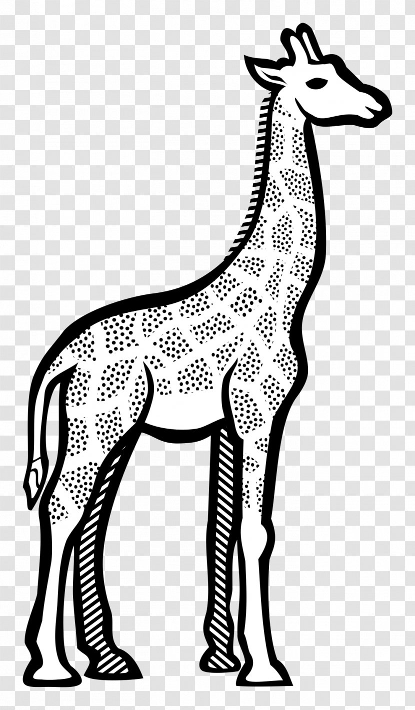 Giraffe Line Art Drawing Clip - Terrestrial Animal Transparent PNG