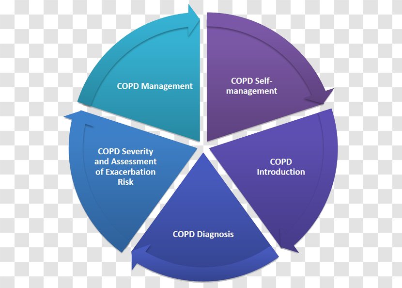 Business Intelligence Electronic Management Organization Transparent PNG