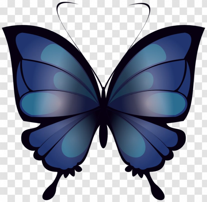 Butterfly Drawing Clip Art - Invertebrate - Fluttering Butterflies Transparent PNG
