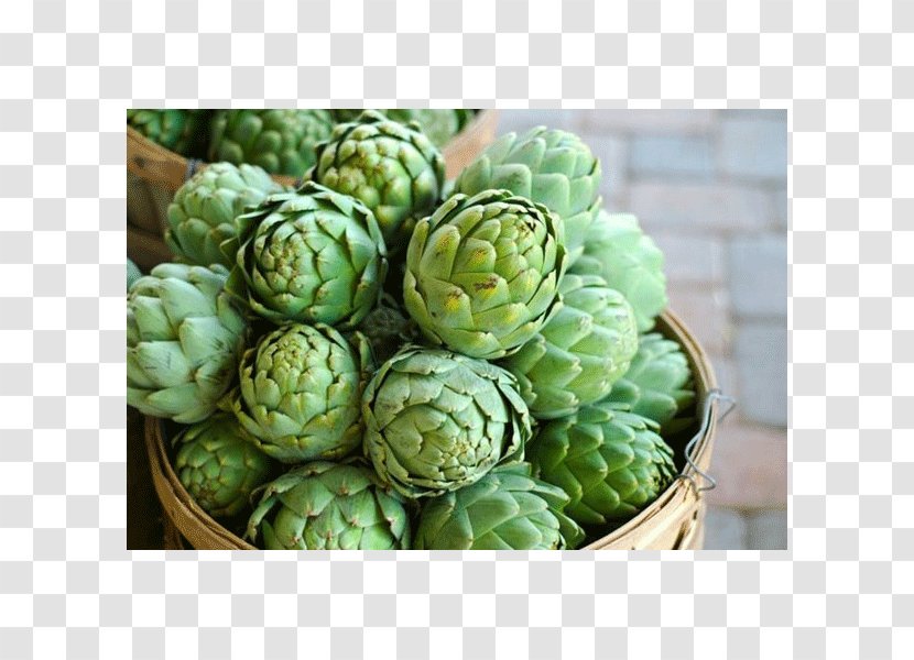 Organic Food Artichoke Leaf Vegetable Minestrone - Melon Transparent PNG