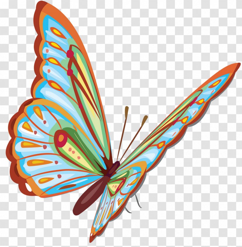 Butterfly Royalty-free Clip Art - Symmetry Transparent PNG