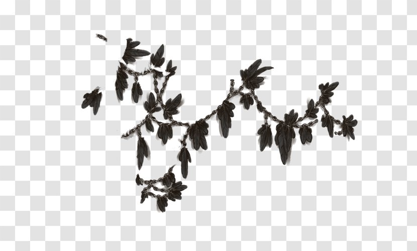 White Leaf Font - Black And - Feather Transparent PNG