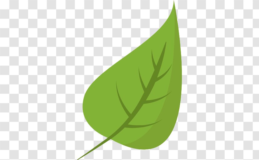 Business Organic Food ارگانیک - Plant Stem Transparent PNG