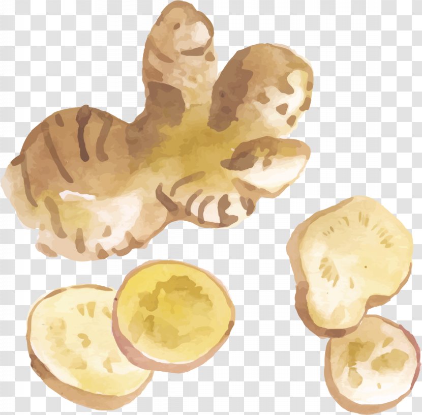 Ginger Tea Illustration - Slices Transparent PNG