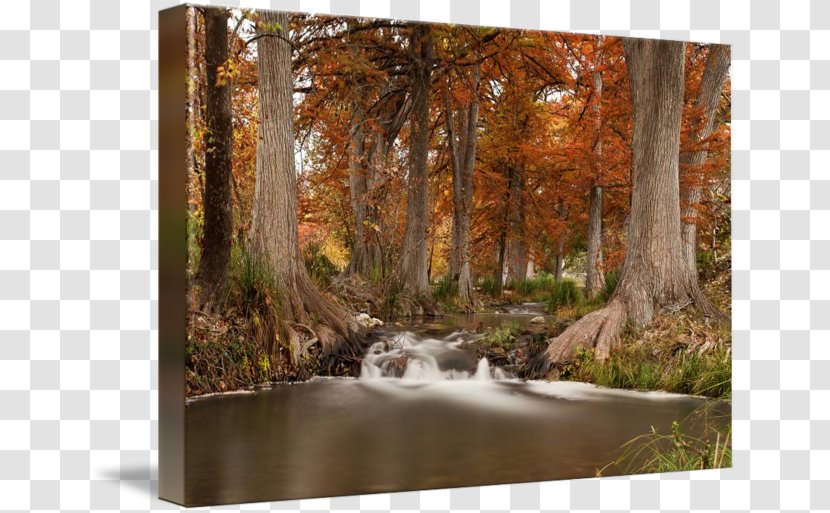 Guadalupe River Gallery Wrap /m/083vt Painting Canvas - Texas Hill Country Transparent PNG