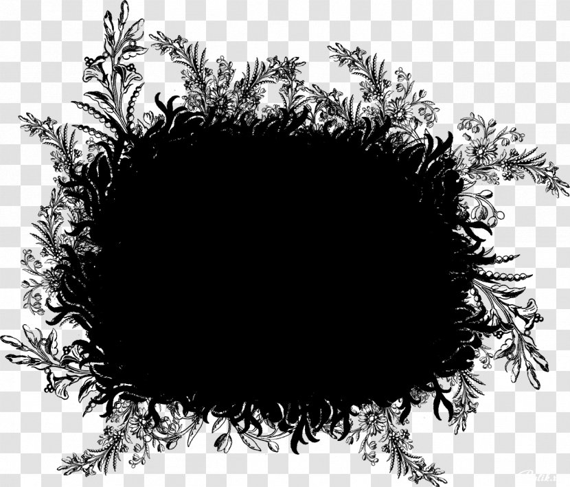 Mask PhotoFiltre Black And White - Tree Transparent PNG