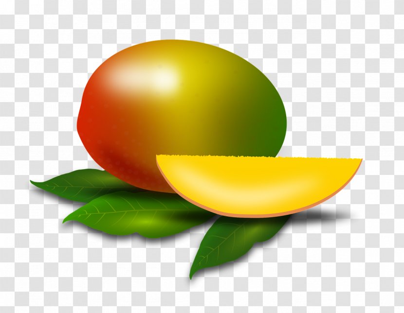 Lemon Fruit Salad Mango Drawing - Silhouette Transparent PNG