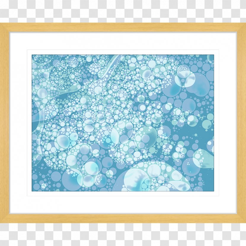 Picture Frames Turquoise Organism Sky Plc Pattern - Wall Art Transparent PNG